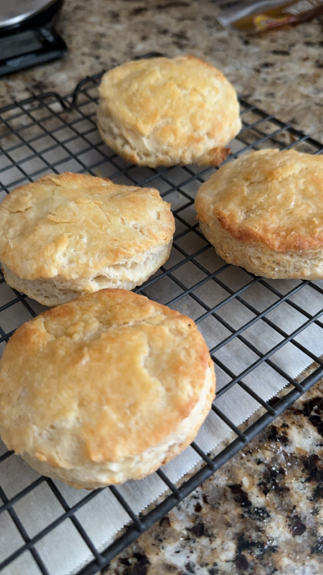 Quick and Easy Biscuits